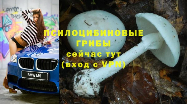 амф Арсеньев