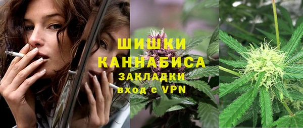 spice Аркадак