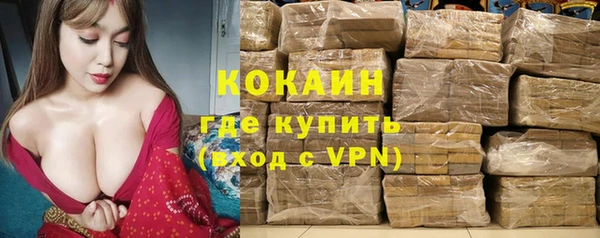 spice Аркадак