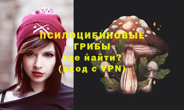 spice Аркадак